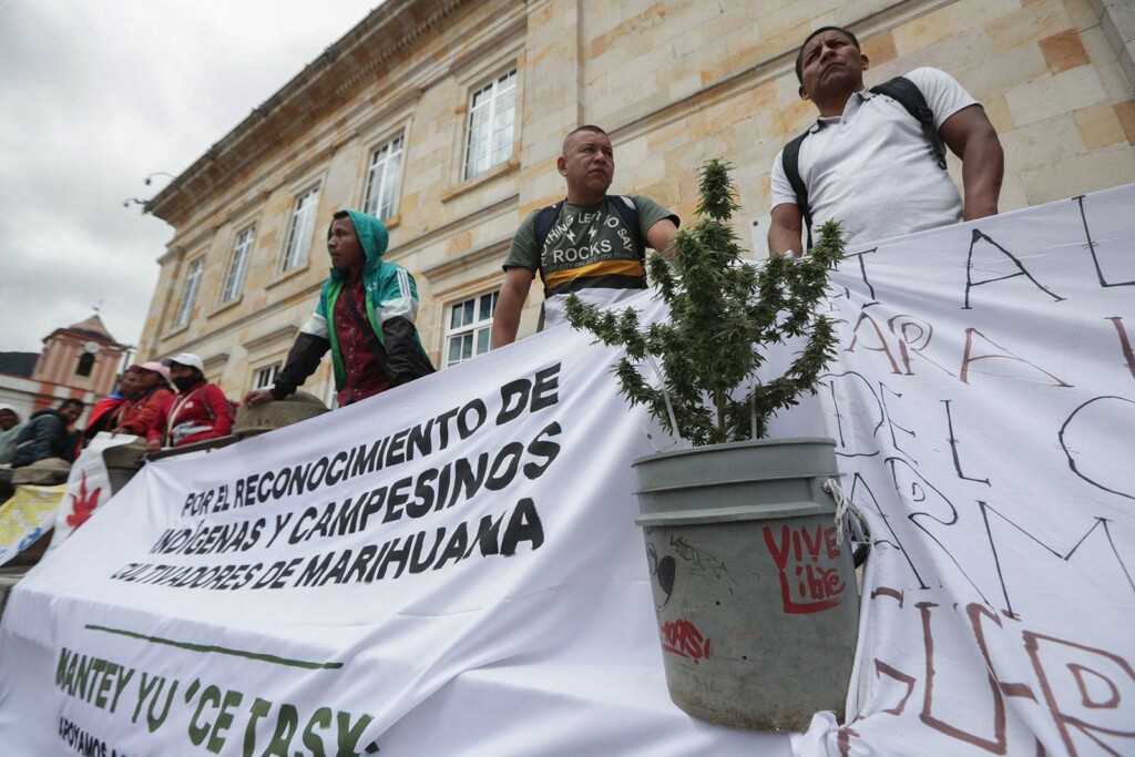 Colombia’s Marijuana Farmers Want Out Of The Shadows. Will The Government Ever Legalize Their Harvest?
