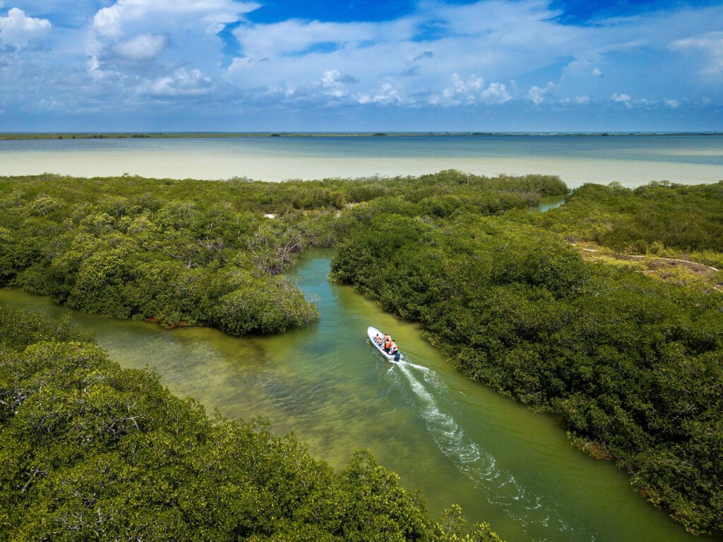 Climate Change Is Making Our Oceans Change Color, New Research Finds