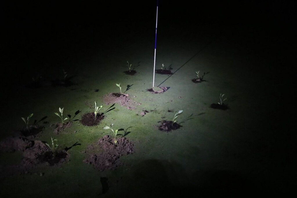 Climate Activists Block Golf Course Holes With Seedlings And Cement To Protest Water Use