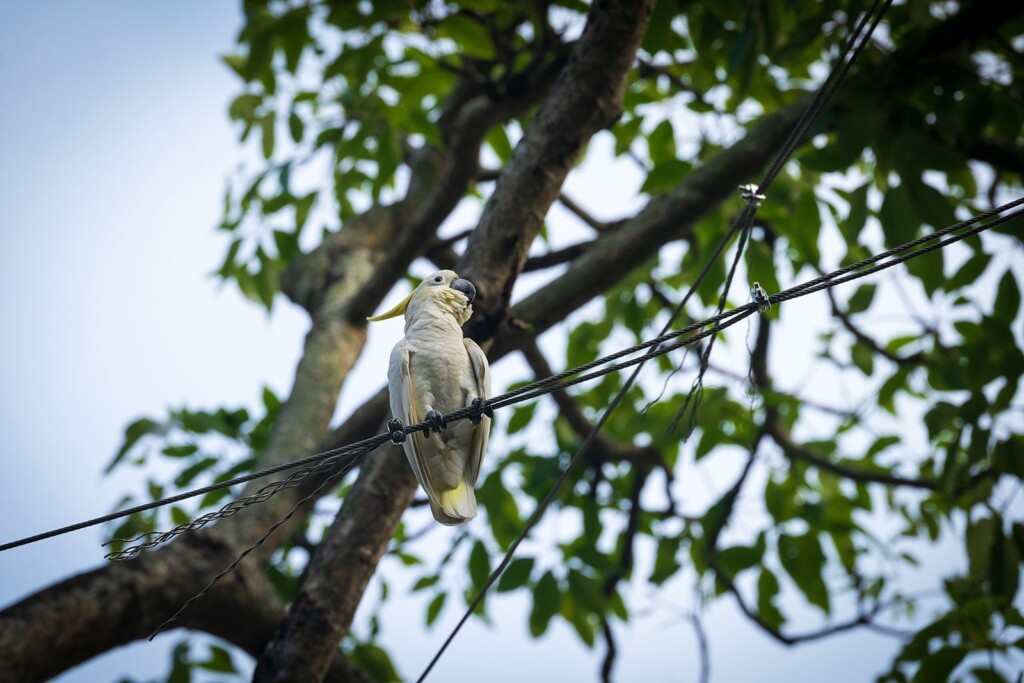 Why We Should Build Cities That Are Kind To Nature