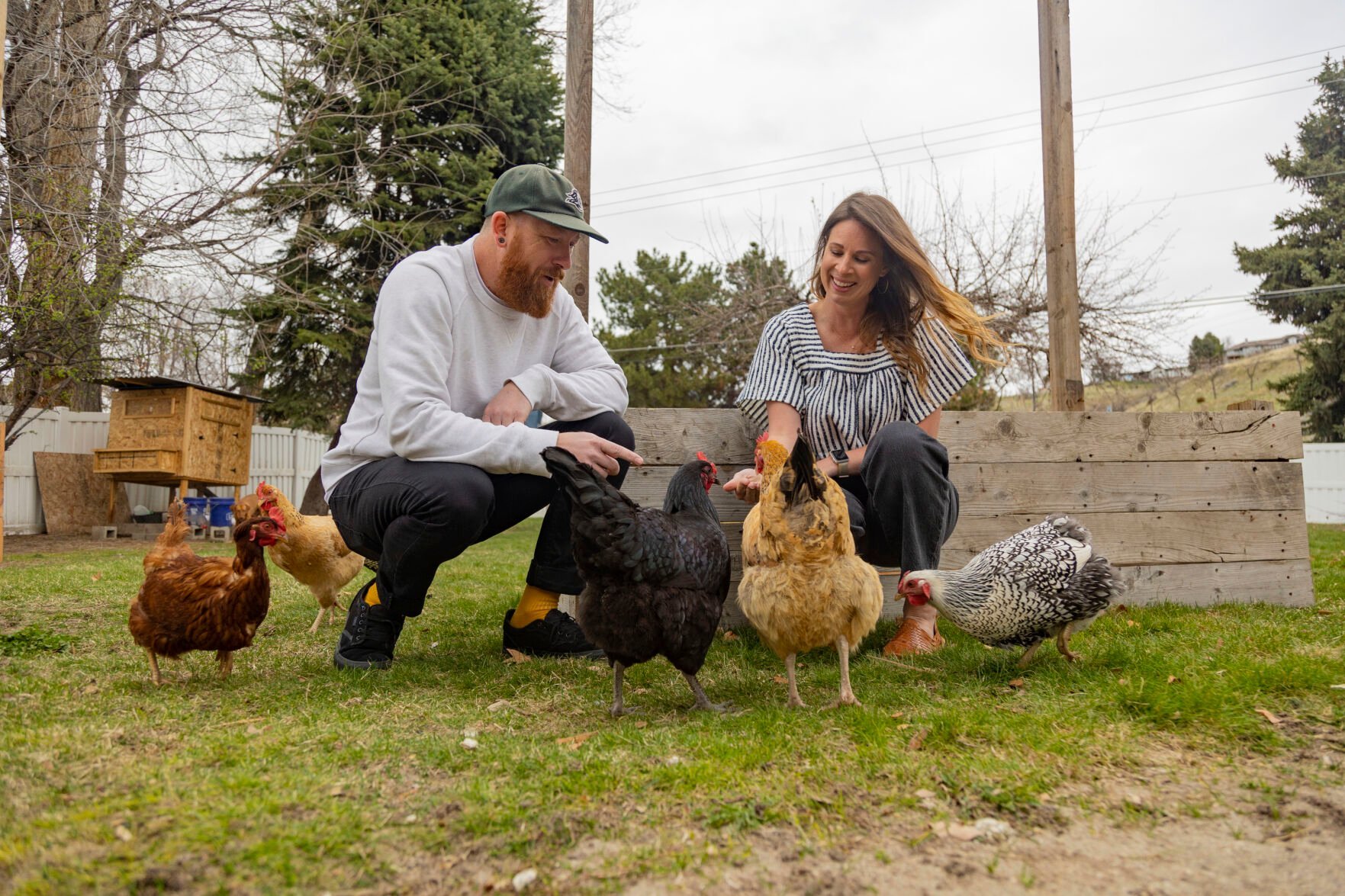 <p>Aaron and Carrie Friesen feed chickens in the backyard of their home April 12 in Boise, Idaho.</p>