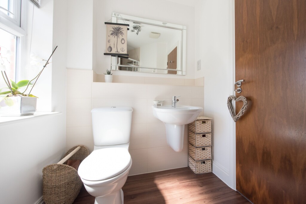 How Often Should You Poop? The Answer Might Not Be What You Think