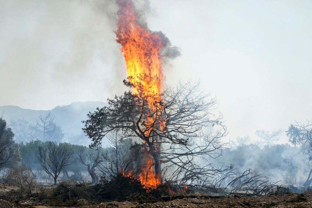 Elderly People Burn To Death In Their Home As Toll Mounts From Mediterranean Wildfires