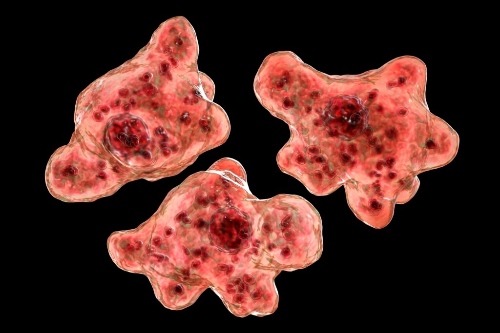 Georgia Resident Dies From Rare Brain Eating Amoeba, Health Officials Say