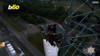 Bald Eagle Rescued In New Jersey After Getting Its Wing Stuck In A Tower