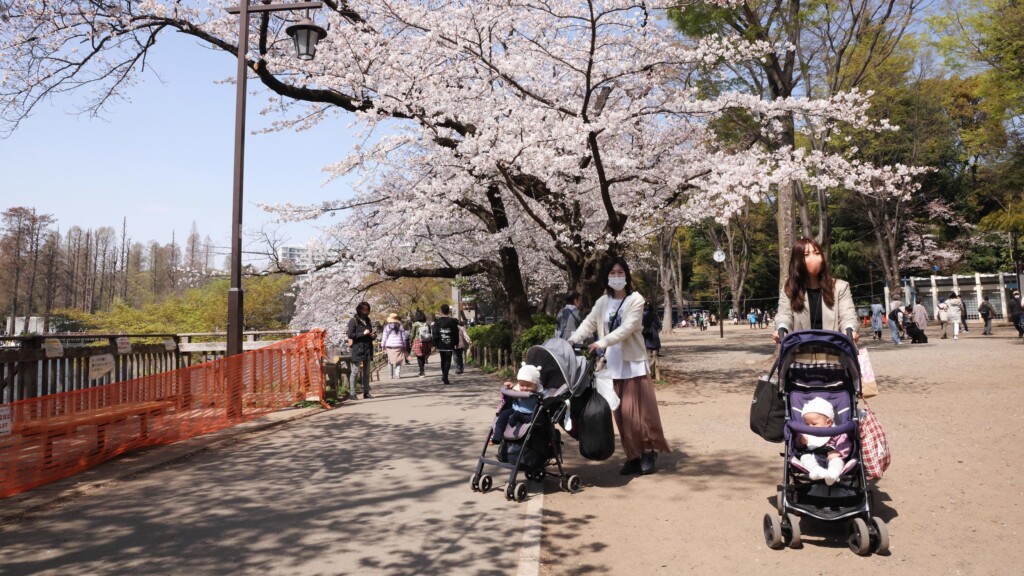 Japan’s Population Fell By 800,000 Last Year As Demographic Crisis Accelerates
