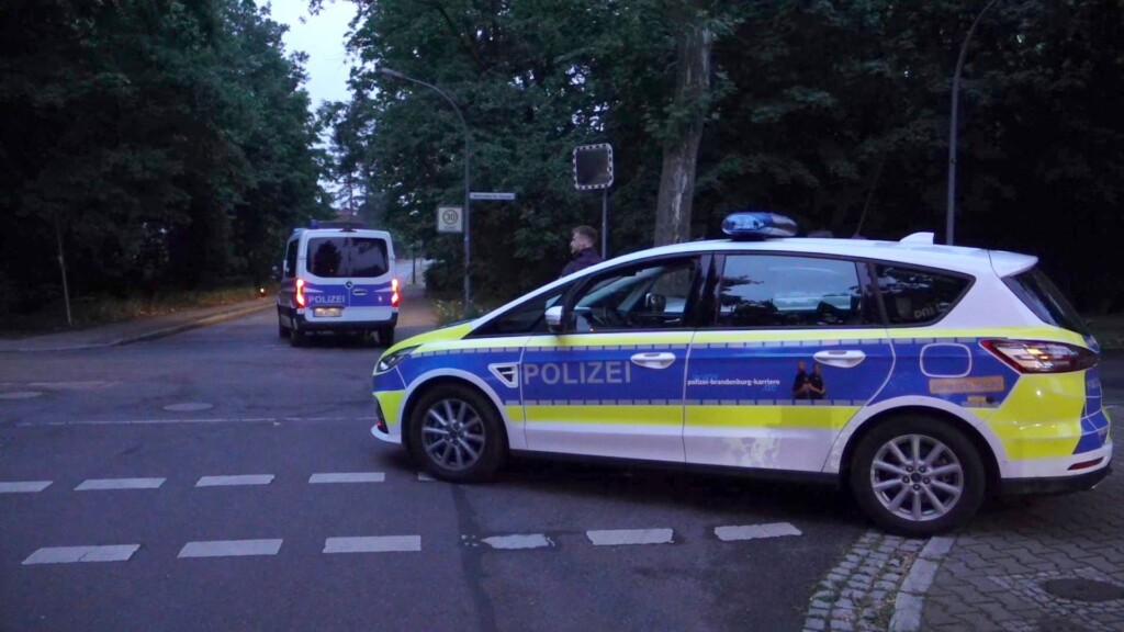 Germany Warns Of Suspected Lioness On The Loose In Berlin