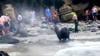 Sea Lions Charge At Startled Tourists On San Diego Beach