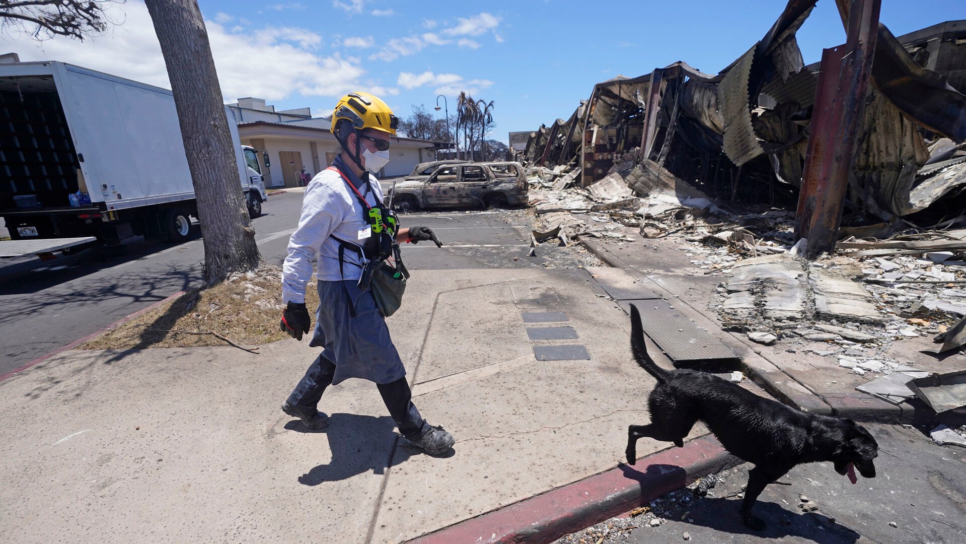 <p>A member of the search and rescue team walks with her cadaver dog near Front Street on Saturday, Aug. 12, 2023, in Lahaina, Hawaii, following heavy damage caused by wildfires. </p>