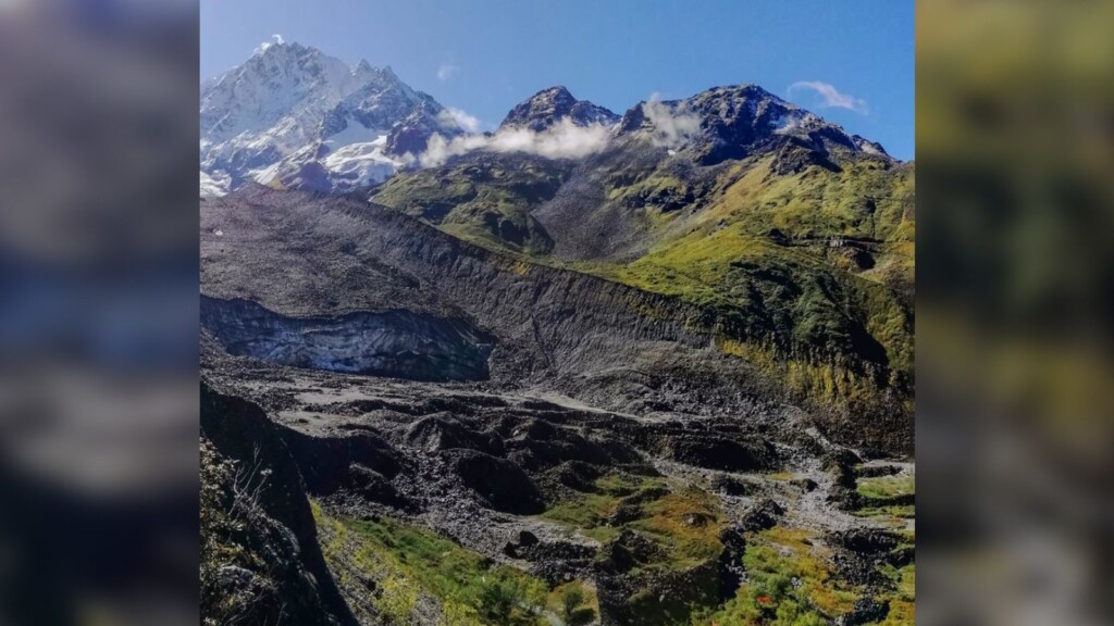 Takakia Survived The Upheaval Of Early Earth, But It May Soon Go Extinct