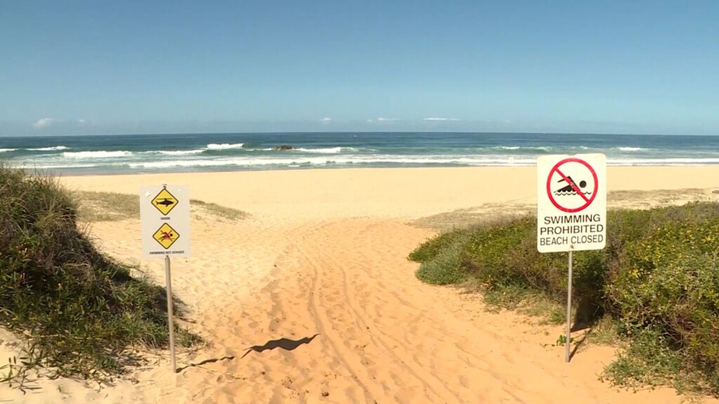 Surfer Fights For His Life After Shark Attack In Australia