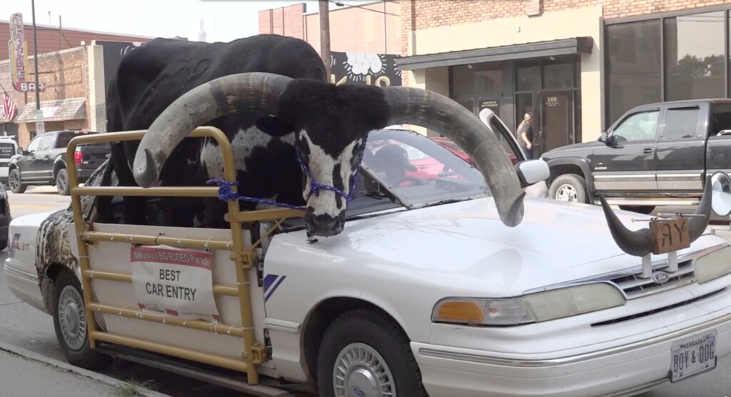 Bucking The Law: Police Stop Nebraska Man With A Bull Named Howdy Doody Riding Shotgun