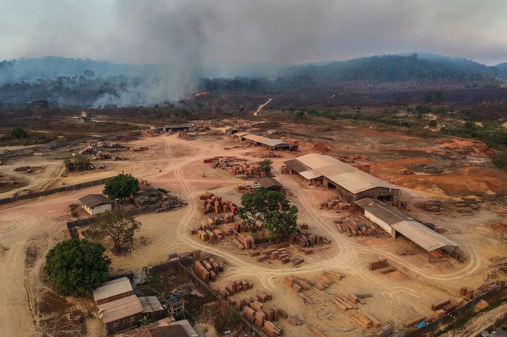 Amazon Deforestation At Six Year Low In Brazil After Plunging 66% In July