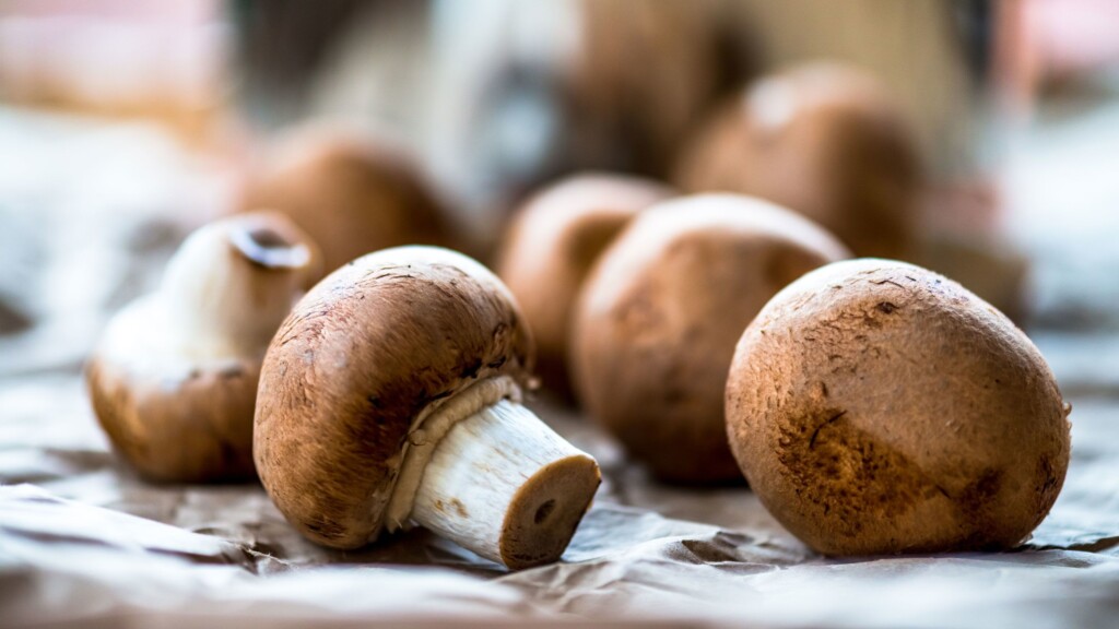 Woman At Center Of Deadly Poisoning Case Says She Bought Mushrooms From Grocer And Supermarket