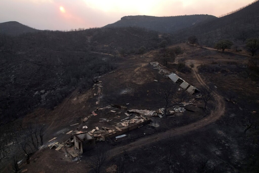 Greek Police Arrest Dozens For Arson As Eu’s Largest Ever Wildfires Rage