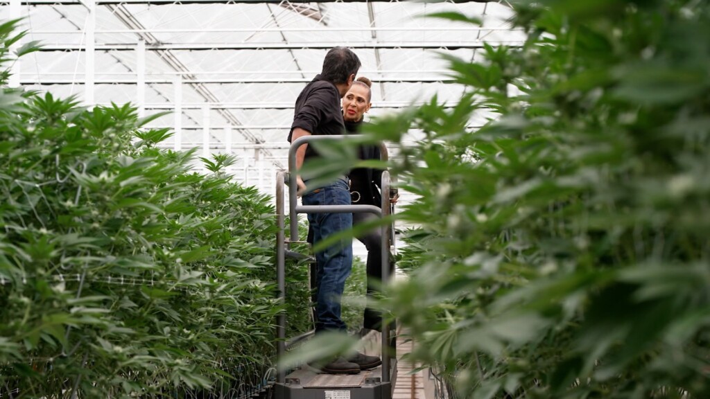 Dr. Sanjay Gupta: Cannabis Is Having A Senior Moment