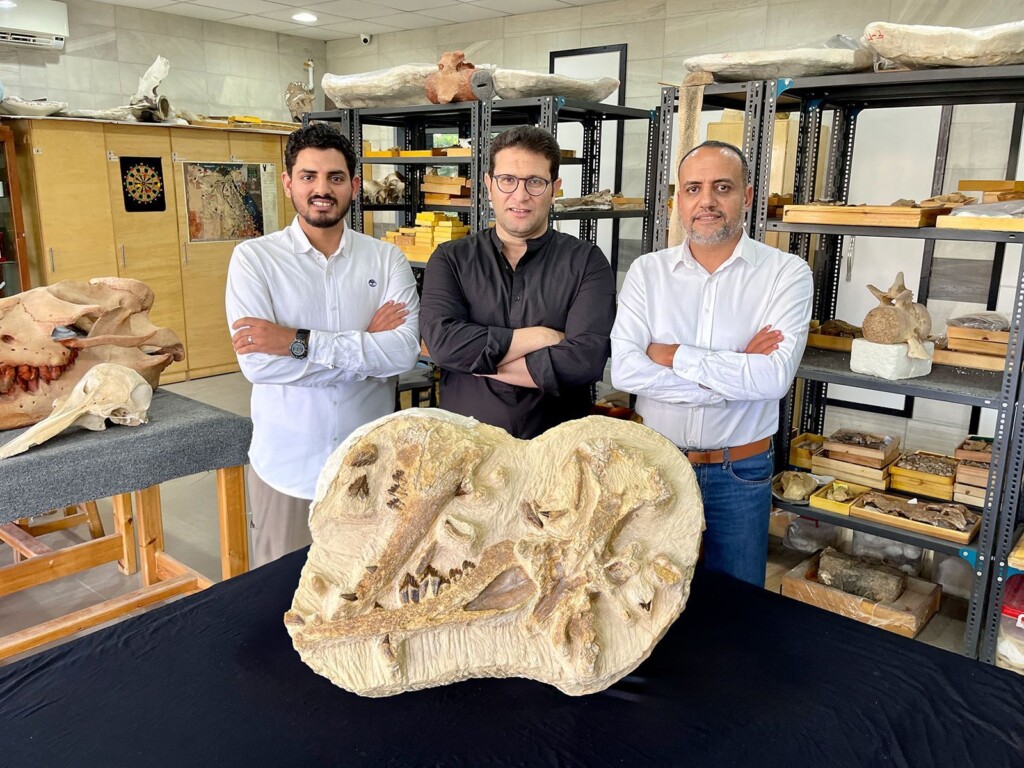 A Newly Discovered Fossil May Be One Of The Oldest (and Smallest) Aquatic Whales Found In Africa, Study Finds