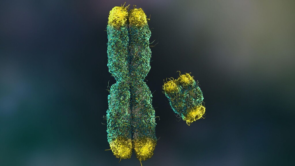 Scientists Fully Sequence Human Y Chromosome For The First Time