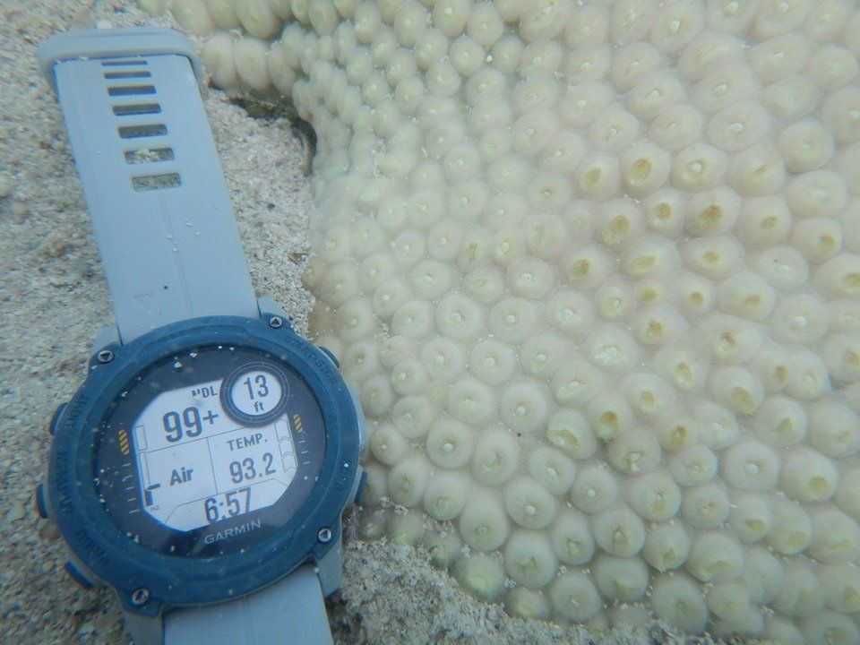 Global Ocean Temperatures Soared To The Highest Level On Record This Week