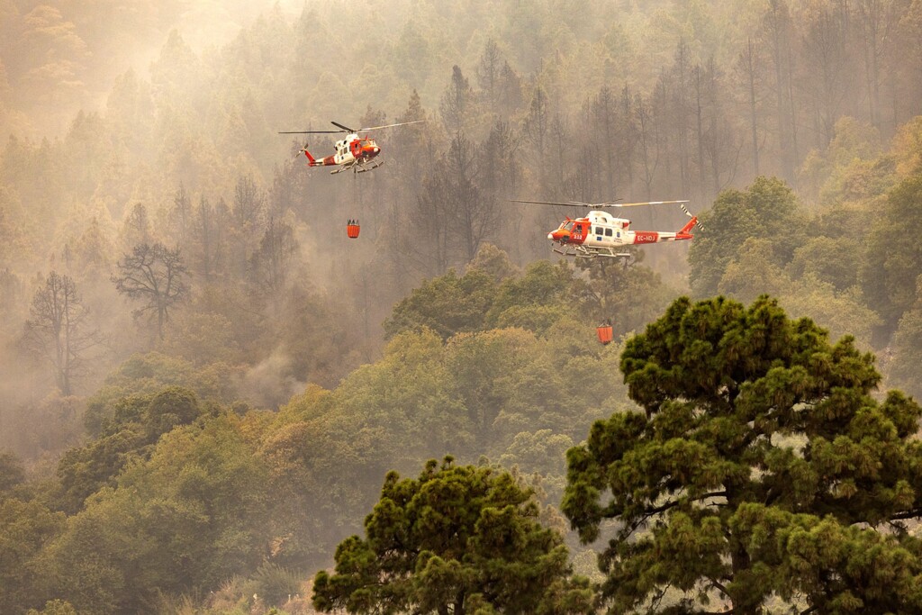 Evacuations Surge To 12,000 As Wildfires Tear Through Tenerife