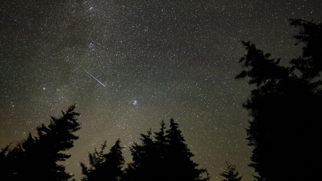 The Perseid Meteor Shower Will Peak This Weekend