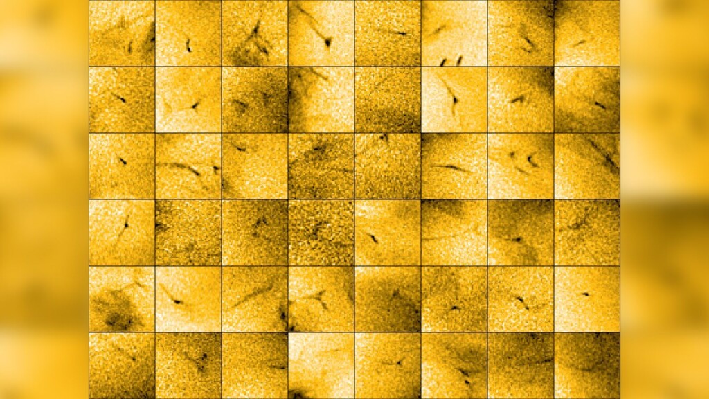 Solar Orbiter Observes Jets Of Material Escaping The Sun