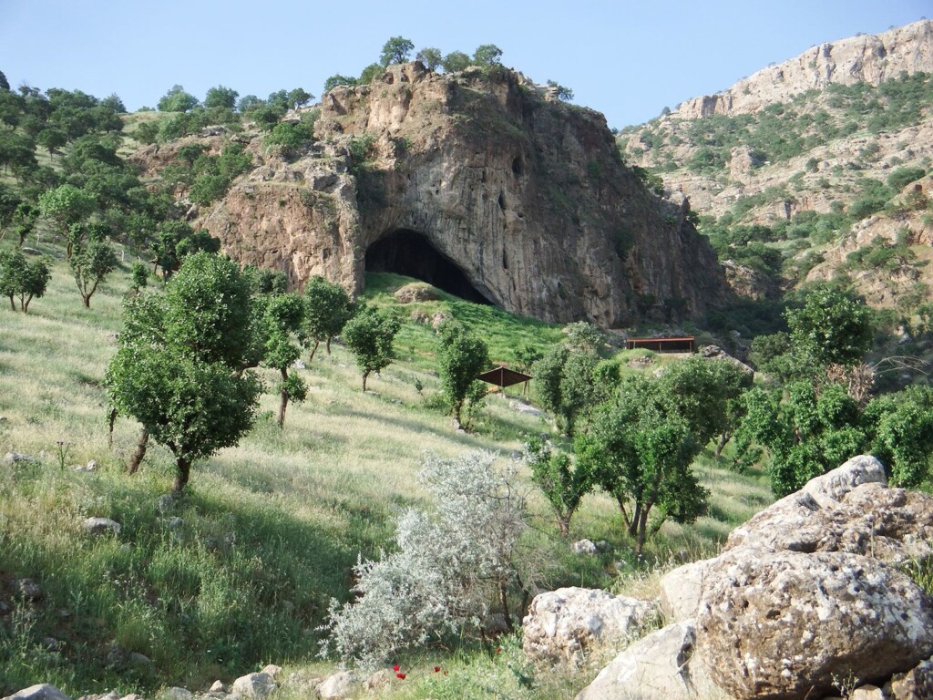 A ‘flower Burial’ Unearthed In 1960 Reshaped The Study Of Neanderthals. A New Discovery Calls It Into Question