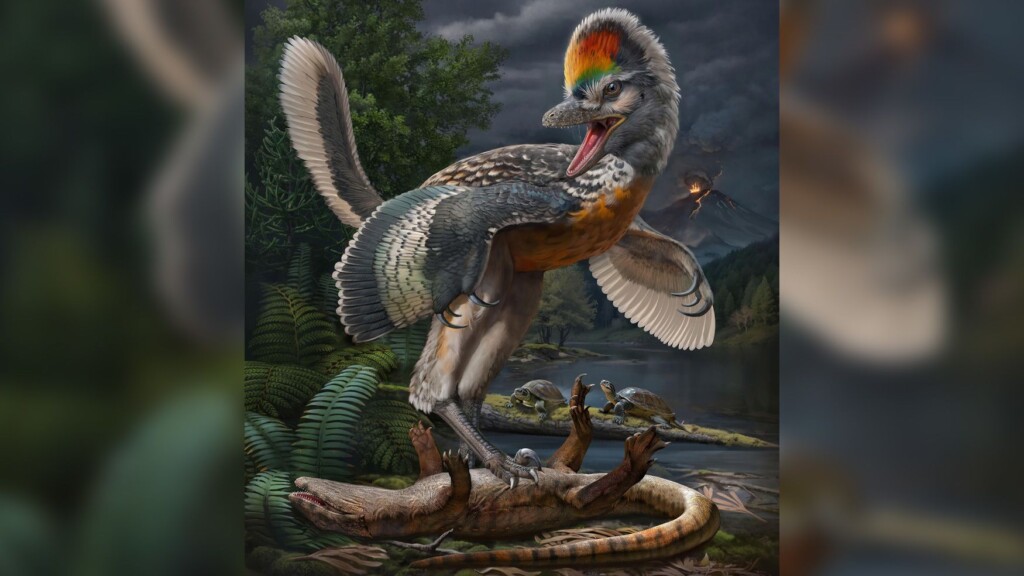 Bird Like Dinosaur With Surprising Features Discovered In China