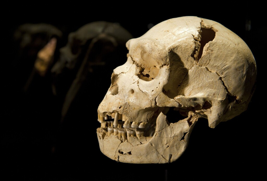 Scientists Say They Have Pinpointed The Moment Humanity Almost Went Extinct