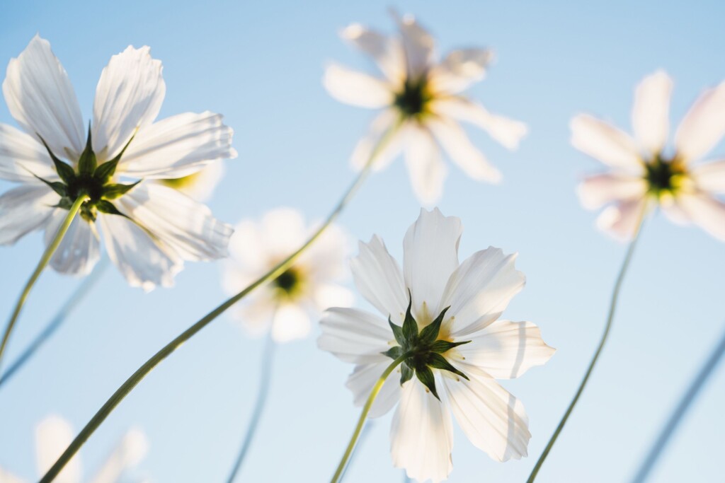 Feeling Like A Late Bloomer When It Comes To Sex? There’s Hope