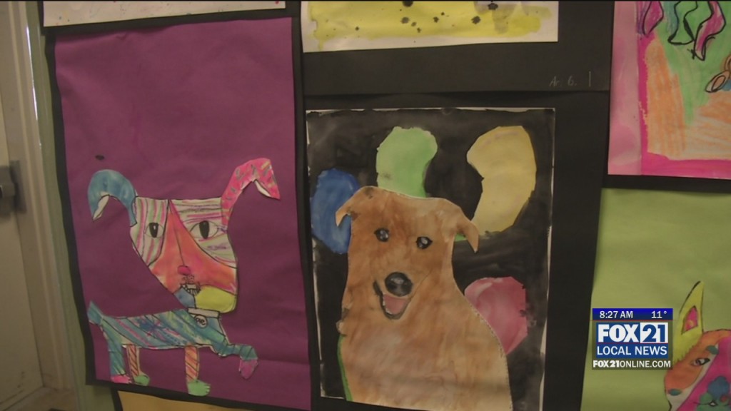 Animal Allies Summer Camp