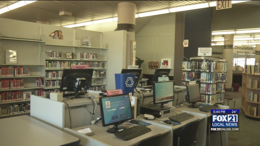 Duluth Library