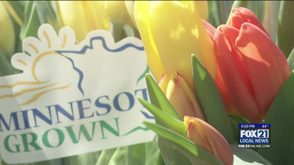 Farmer Market Update