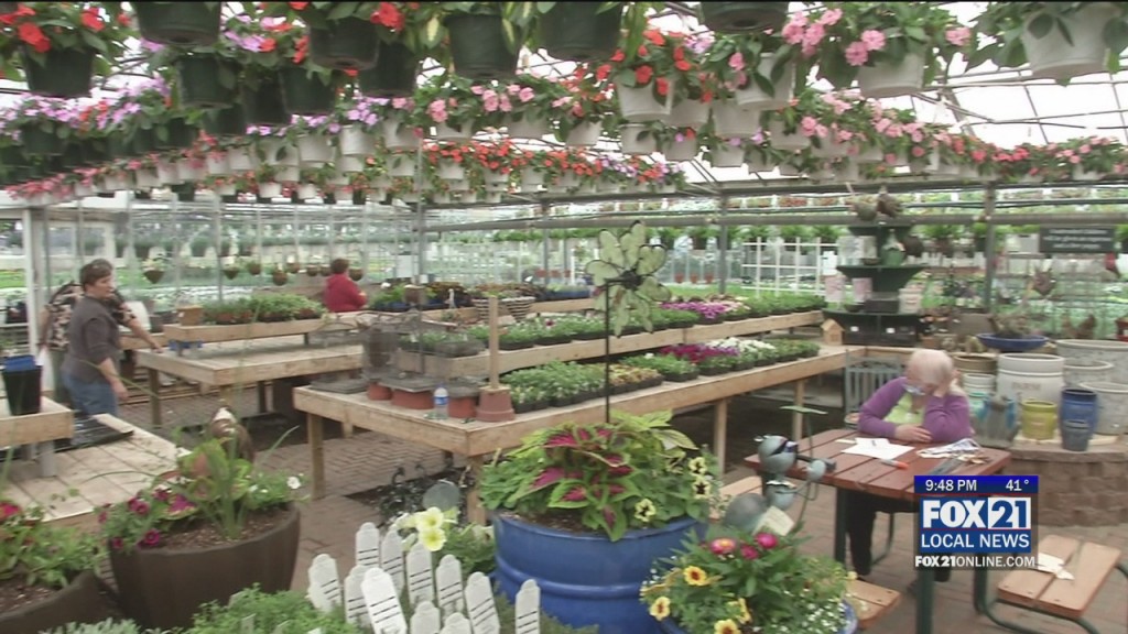 Green House Great Outdoors