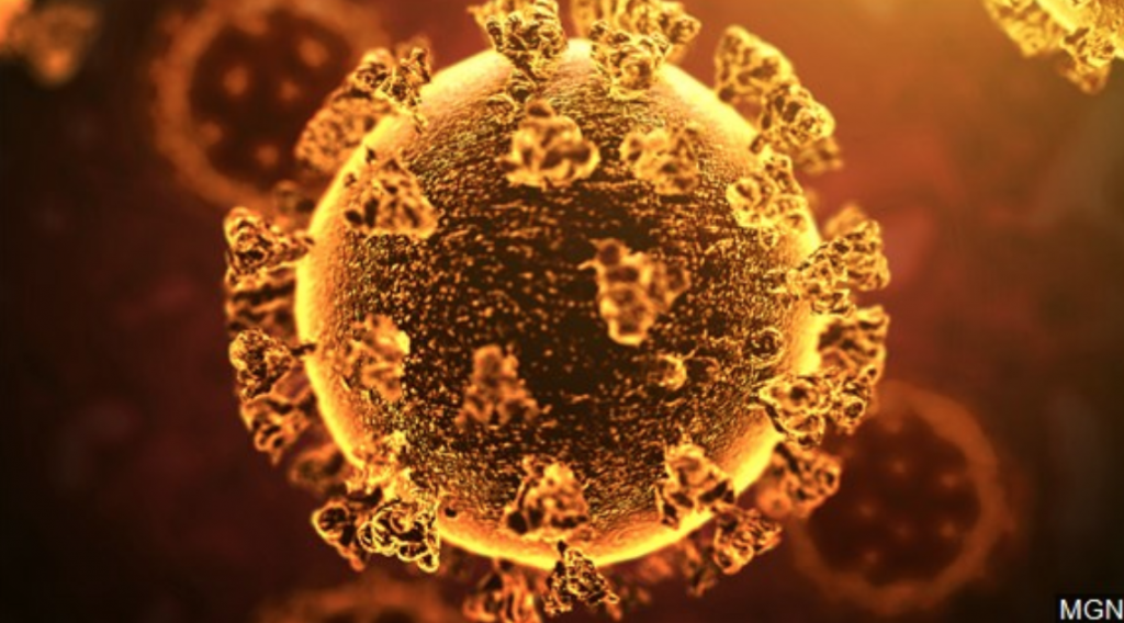 coronavirus
