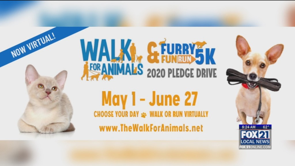 Animal Allies Update