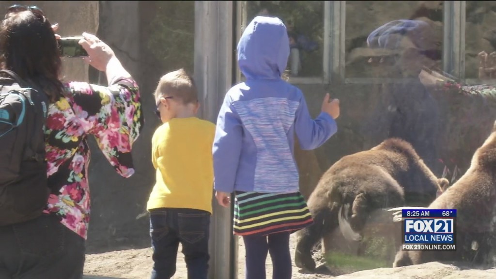 Zoo Reopening Phase Two