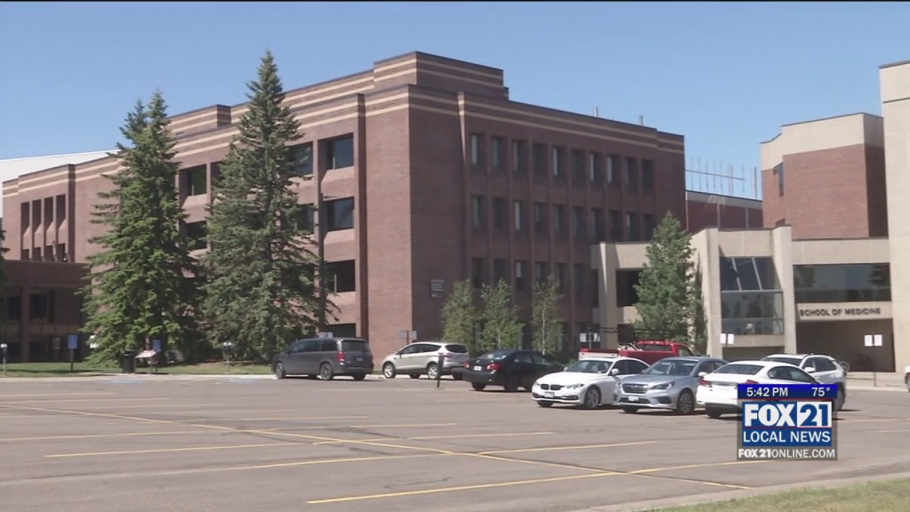 Umd International Students