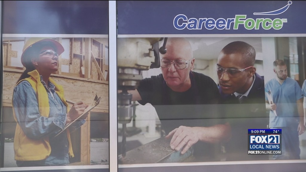 Workforce Development