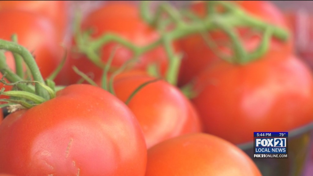 Downtown Farmers Market