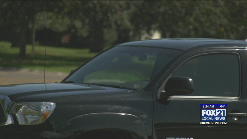 Pets And Hot Vehicles