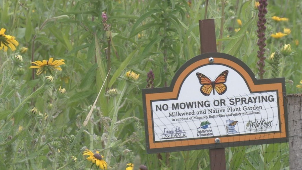 Pollinator Plant Donation
