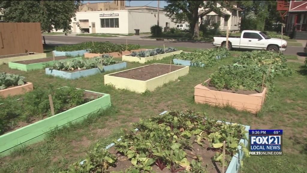 Community Garden