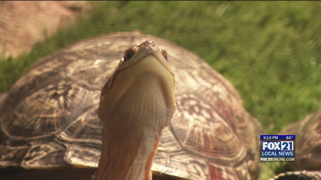 Great Lakes Aquarium