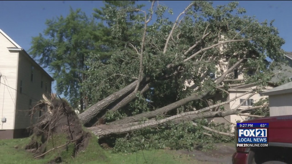 Superior Storm Damage