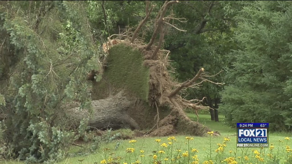 Carlton Storm Damage