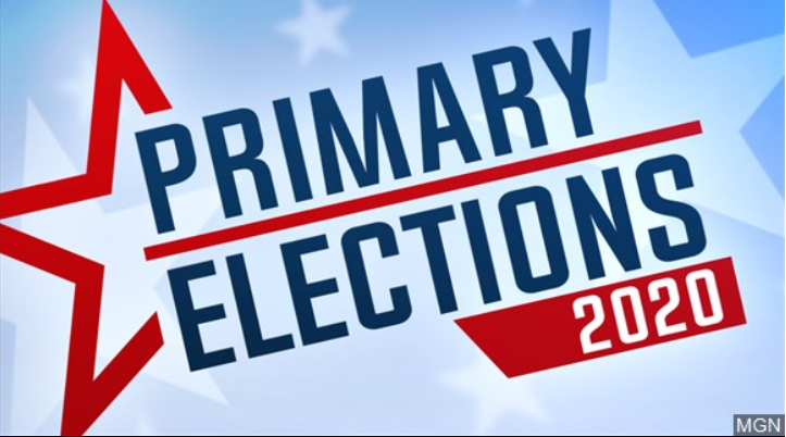 Primary Election
