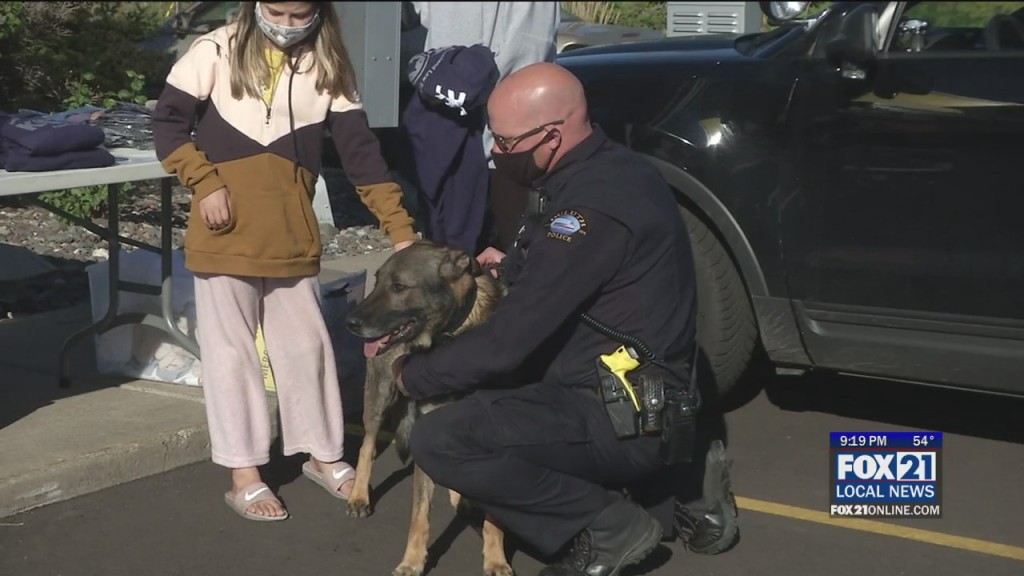 Northland K 9 Pop Up