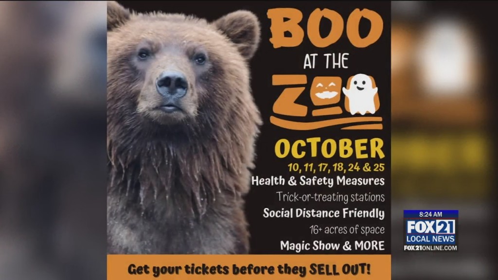 Boo At Zoo