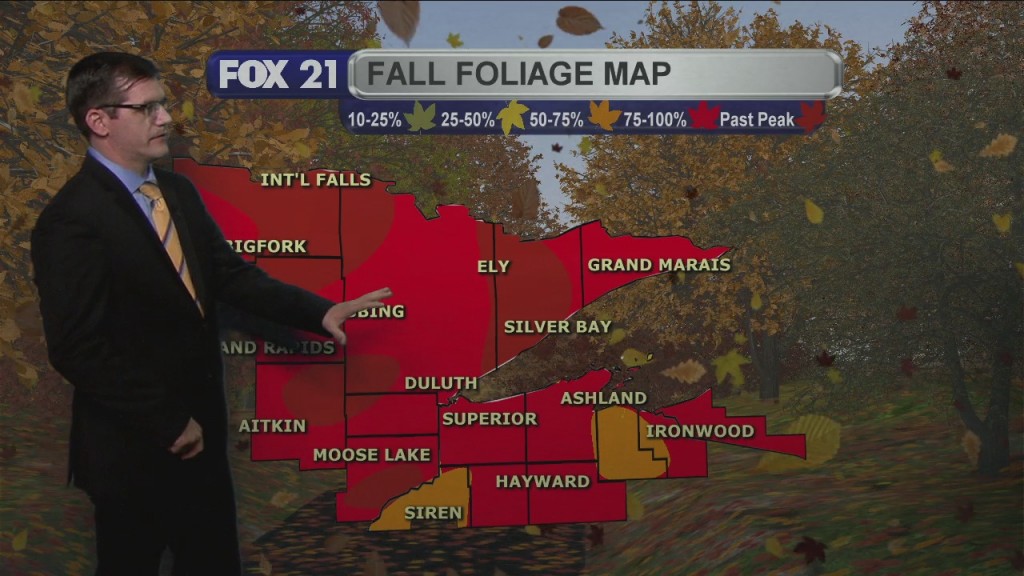 Friday, October 2, 2020 Morning Forecast